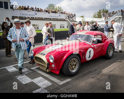 1964 AC Cobra vor Beginn, RAC TT Feier, Goodwood Revival 2014, Rennsport, Oldtimer, Goodwood, Chichester, süss Stockfoto