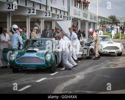 1960 Aston Martin DB4 GT Treiber ändern in der Boxengasse, RAC TT Feier, Goodwood Revival 2014, Racing Sport, Oldtimer, G Stockfoto