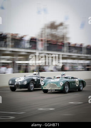 Jaguar C-Type (L) und Aston Martin DB3, Peter Collins Trophy, 72. Mitgliederversammlung, Rennen, Autorennen, Oldtimer, Chichester, Stockfoto