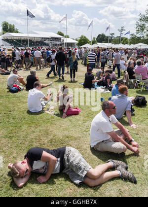 Zuschauer, Goodwood Festival of Speed 2014, Rennen, Autorennen, Oldtimer, Chichester, Sussex, Vereinigtes Königreich, Großbritannien Stockfoto