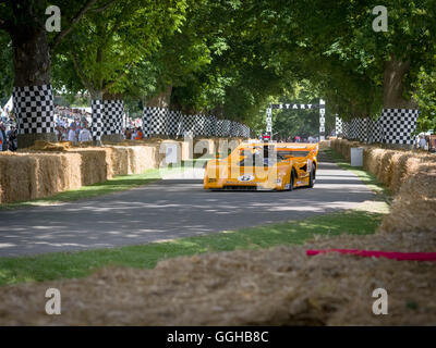 1971 Chevrolet-McLaren M8F Auto Rennwagen, Goodwood Festival of Speed 2014, Rennen, Autorennen, Oldtimer, Chichester, Sussex, Stockfoto