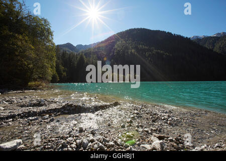 Bank der See Lago di Antholz, Südtirol, Italien Stockfoto