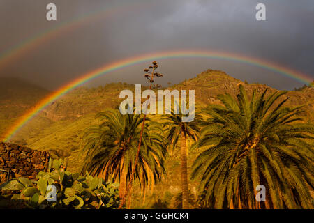 Regenbogen über Palmen, Tal von El Risco, in der Nähe von Agaete, natürliche zu bewahren, Parque Natural de Tamadaba, UNESCO Biosphäre Orchesterprobe Stockfoto