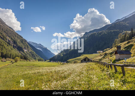 Geographie/Reisen, Italien, Südtirol, sommer wiese in Rein in Taufers, Reintal, Additional-Rights - Clearance-Info - Not-Available Stockfoto