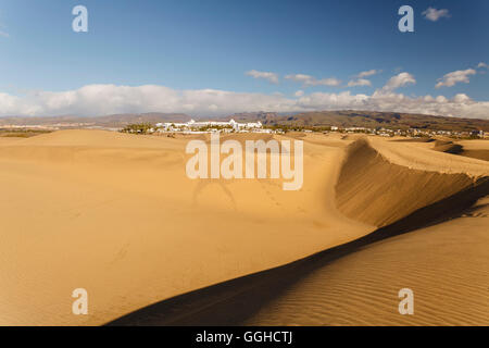 Dünen von Maspalomas Dunas de Maspalomas, Naturschutzgebiet, Hotel Riu Palace in den Hintergrund, Maspalomas, Gemeinde San B Stockfoto