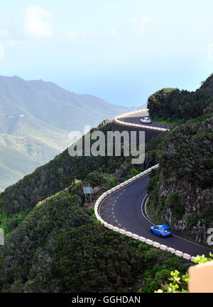 Serpentine in Macizo de Anaga-Gebirge, Teneriffa, Kanarische Inseln, Spanien Stockfoto