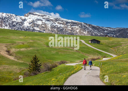 Geographie/Reisen, Italien, Südtirol, Wanderer auf der Seiser Alm, Editorial-Use - Nur Stockfoto