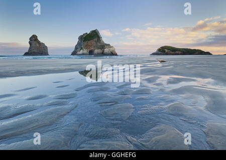 Torbogen Inseln, Wharariki Beach, Tasman, Südinsel, Neuseeland Stockfoto