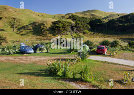 Campingplatz am Wharariki, Tasman, Südinsel, Neuseeland Stockfoto