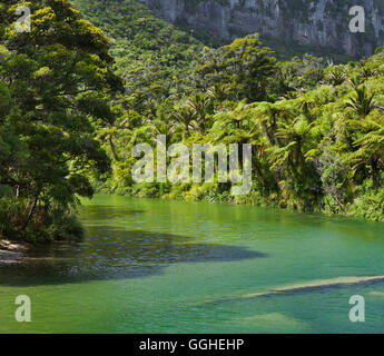 Pororari River, Paparoa National Park, West Coast, Südinsel, Neuseeland Stockfoto