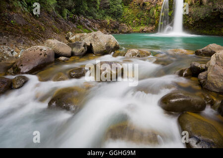 Tawhai fällt, Tongariro Nationalpark, Manawatu-Manganui, Nordinsel, Neuseeland Stockfoto