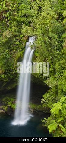 Omanawa Falls, Bay of Plenty, Nordinsel, Neuseeland Stockfoto