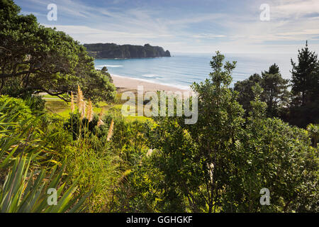 Hot Water Beach, Coromadel Peninsula, Waikato, Nordinsel, Neuseeland Stockfoto