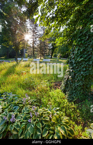 Blumenbeete, Doblhoff-Park, Baden bei Wien, Niederösterreich, Österreich Stockfoto