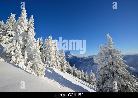 Winterlandschaft Berge, Breitenstein, Mangfall Berge, Bayerische Voralpen, Oberbayern, Deutschland Stockfoto