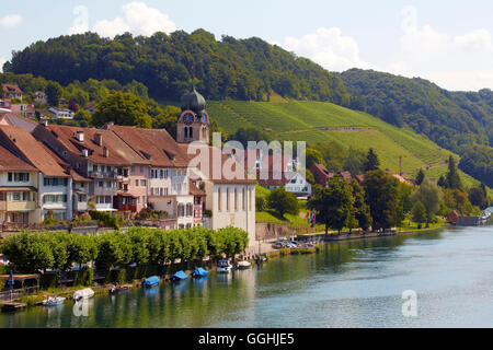 Ansicht von Eglisau und Weinberge am Rhein, Hochrhein, Kanton Zürich, Schweiz, Europa Stockfoto