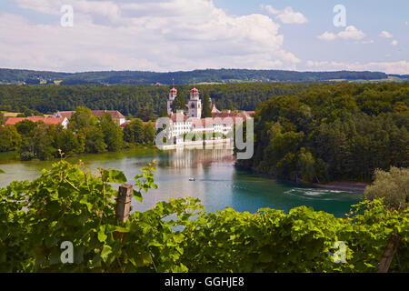 Ansicht des Klosters Rheinau und Weinberge am Rhein, Hochrhein, Kanton Zürich, Schweiz, Europa Stockfoto