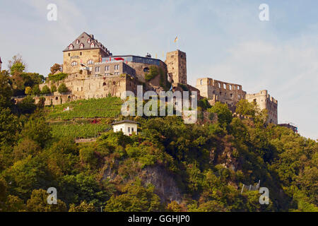 Burg Rheinfels bei St. Goar, Mittelrhein, Mittelrhein, Rheinland - Pfalz, Deutschland, Europa Stockfoto