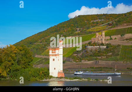 Ruinen der Burg Ehrenfels und Maeuseturm in der Nähe von Bingen, Mittelrhein, Mittelrhein, Rheinland-Pfalz, Deutschland, Europa Stockfoto