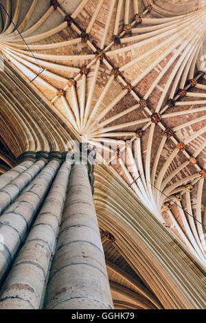 Gewölbedecke der Kathedrale von Exeter, Exeter, Devon, England, Großbritannien Stockfoto