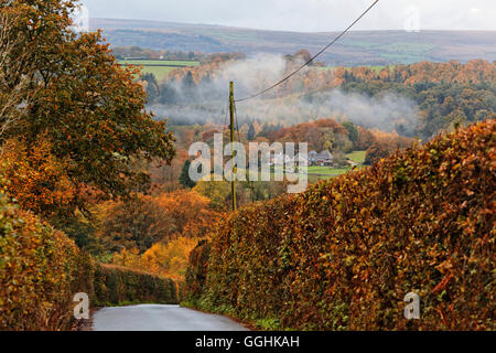 Landschaft in der Nähe von Castle Drogo, Drewsteignton, Dartmoor, Devon, Großbritannien, England Stockfoto