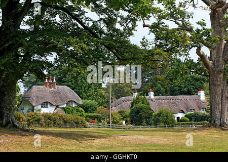 Strohgedeckten Hütten, Lyndhurst, New Forest, Hampshire, England, Großbritannien Stockfoto
