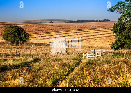 Sarsen Stein in den Bereichen in Avebury, Wiltshire. Stockfoto