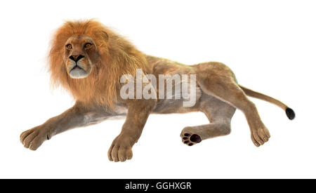 3D-Rendering eines männlichen Löwen isoliert auf weißem Hintergrund Stockfoto