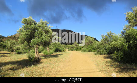 Sonne und Wolken über Olivenbäume im Hain in der Nähe von Alora, Andalusien Stockfoto