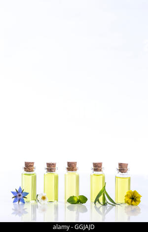 ätherische Öle und medizinische Blumen Kräuter Stockfoto