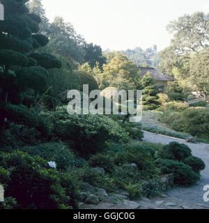 Japanischer Garten - (Bitte geben Sie: Fotos Hort / Hakone Gdn Saratoga CA USA) JAG064177 Fotos Stockfoto