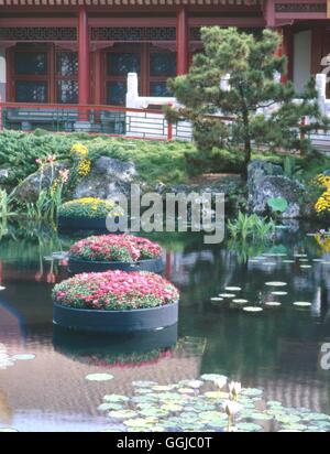 Japanisch - Chinesisch - Garten (bitte Kredit: Fotos Hort / Epcot Ctr. Florida USA.)   JAG100345 Obligatorisch Credi Stockfoto