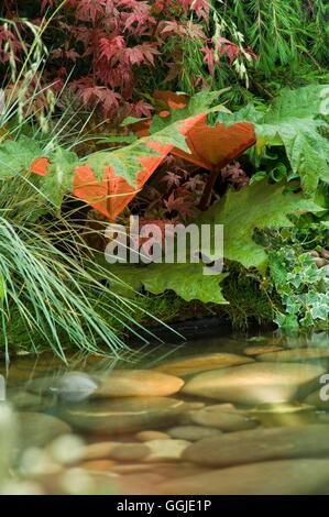 Brunnen-Wasser-Funktion-(bitte Kredit: Fotos Gartenbau/Hillier Baumschulen) MIW251127 Ph Stockfoto