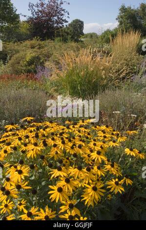 Herbst - Garten - Prairie Pflanzung Stil - (bitte Kredit: Fotos Hort/Ryton Bio Gdn) obligatorische Cred MIW251992 Stockfoto