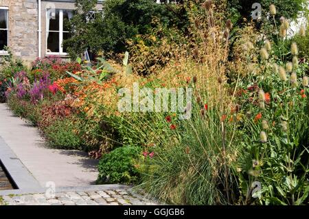 Helen Dillon Garten Dublin - Bitte geben Sie: Fotos Hort/Helen Dillon Irland MIW252441 Ph Stockfoto