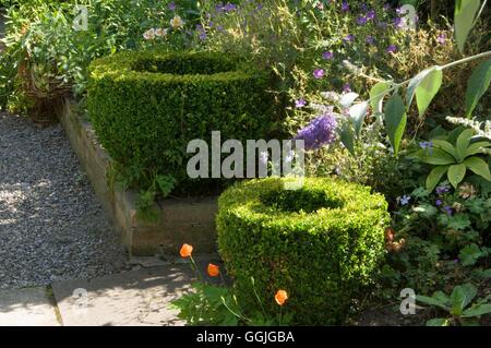 Helen Dillon Garten Dublin - Bitte geben Sie: Fotos Hort/Helen Dillon Irland MIW252444 Ph Stockfoto