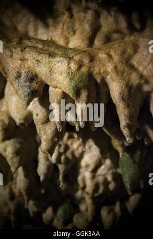 Riesige Stalagmiten und Stalaktiten in einer Tropfsteinhöhle cave, Karlshoehle und Baerenhoehle, Sonnenbühl, schwäbische Alp, Baden Wuerttember Stockfoto