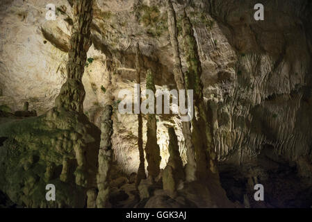 Riesige Stalagmiten und Stalaktiten in einer Tropfsteinhöhle cave, Karlshoehle und Baerenhoehle, Sonnenbühl, schwäbische Alp, Baden Wuerttember Stockfoto