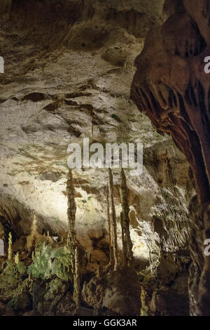 Riesige Stalagmiten und Stalaktiten in einer Tropfsteinhöhle cave, Karlshoehle und Baerenhoehle, Sonnenbühl, schwäbische Alp, Baden Wuerttember Stockfoto