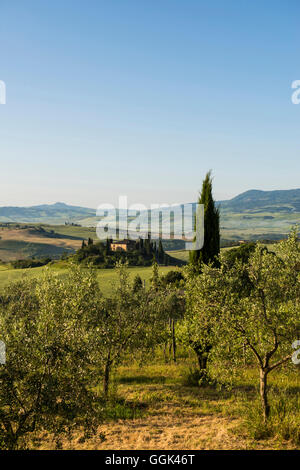 Landschaft bei San Quirico d ' Orcia, Val d ' Orcia, Provinz Siena, Toskana, Italien, UNESCO-Welterbe Stockfoto