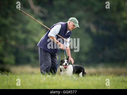 Ein Konkurrent beteiligt sich 2016 englischen nationalen Sheepdog Trials in der Nähe von Castle Howard in Yorkshire. Stockfoto