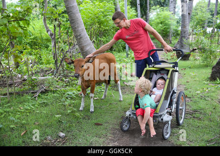 Familie auf Urlaub, Vater mit seinen zwei Kinder, Kinderwagen, braune Kuh, Kalb, Kokospalmen, Coconut Grove, tropische Insel, Mädchen 5 mo Stockfoto