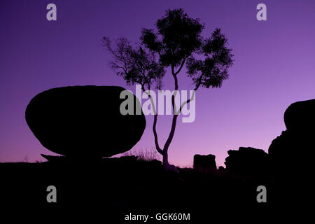 Silhouette des Teufels Murmeln Felsformation mit Baum im Morgengrauen, Devils Marbles Conservation Reserve, in der Nähe von Wauchope, nördlichen Ter Stockfoto