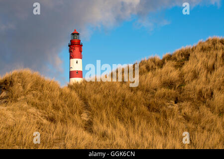 Amrum Leuchtturm hinter Dünen an einem sonnigen Wintertag, Insel Amrum, Schleswig-Holstein, Deutschland, Europa Stockfoto