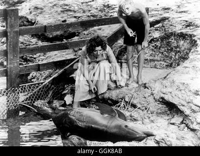 NEUES ABENTEUER MIT FLIPPER / Flipper ist neue Abenteuer USA 1963 / Leon Benson Szene: Delphin Flipper ist Schwer Verletzt, Im Bild Mit HELEN CHERRY (Julia Hopewell), LUKE HALPIN (Sandy Ricks) Regie: Leon Benson aka. Flipper neue Abenteuer Stockfoto