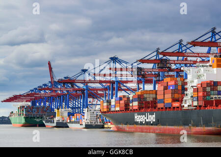 Containerschiffe am Containerterminal Burchardkai, Waltershof, Hamburg, Deutschland Stockfoto