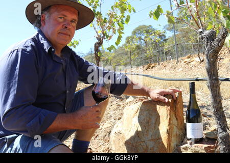 Winzer David Jones Weinprobe im Weinberg bei Dalwhinnie Wines, Moonambel, Australien Stockfoto