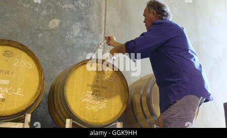 Winzer David Jones Verkostung Wein aus einem Fass auf seinem Weingut Dalwhinnie Weine, Moonambel, Australien Stockfoto