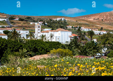 Blick nach Betancuria, Fuerteventura, Kanarische Inseln, Spanien Stockfoto