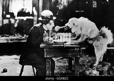 GOLDRAUSCH / The Gold Rush USA 1925 / Charles Chaplin Szene: Der Tramp (CHARLIE CHAPLIN) Und Das Hündchen. Regie: Charles Chaplin aka. Der Goldrausch Stockfoto